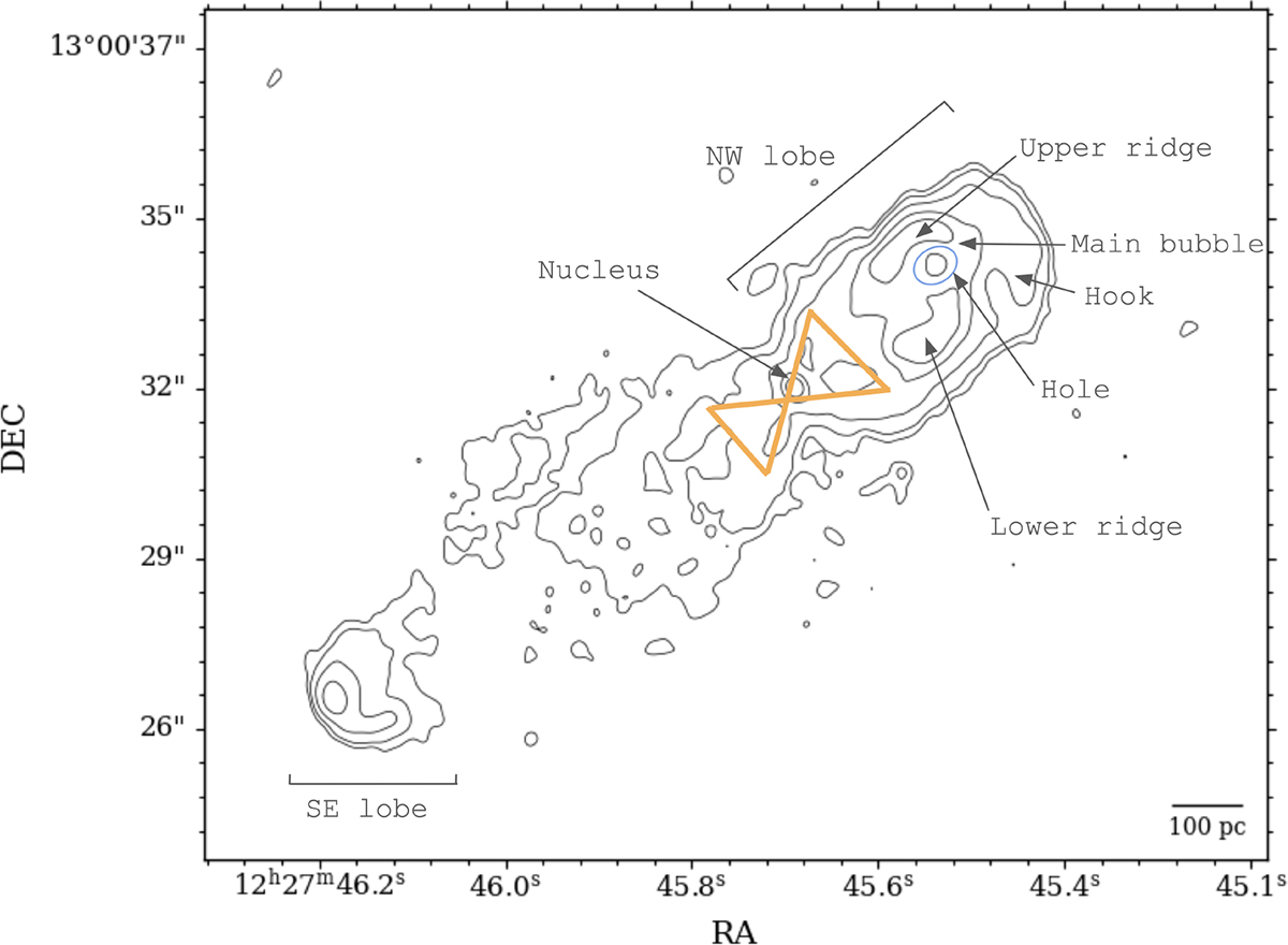 Fig. 2. Refer to the following caption and surrounding text.