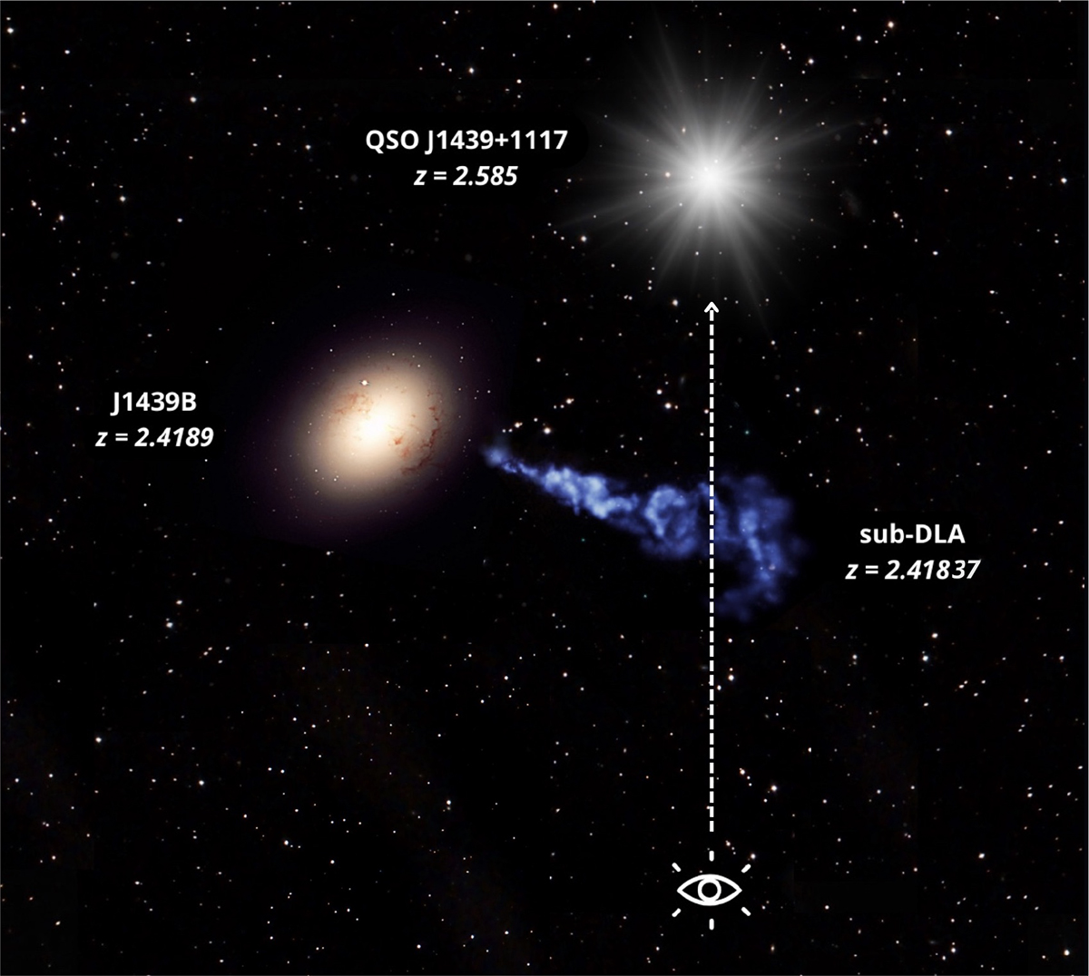 Fig. 1. Refer to the following caption and surrounding text.