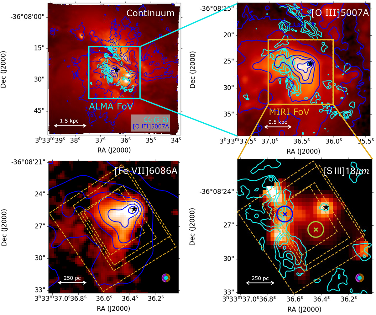 Fig. 1. Refer to the following caption and surrounding text.