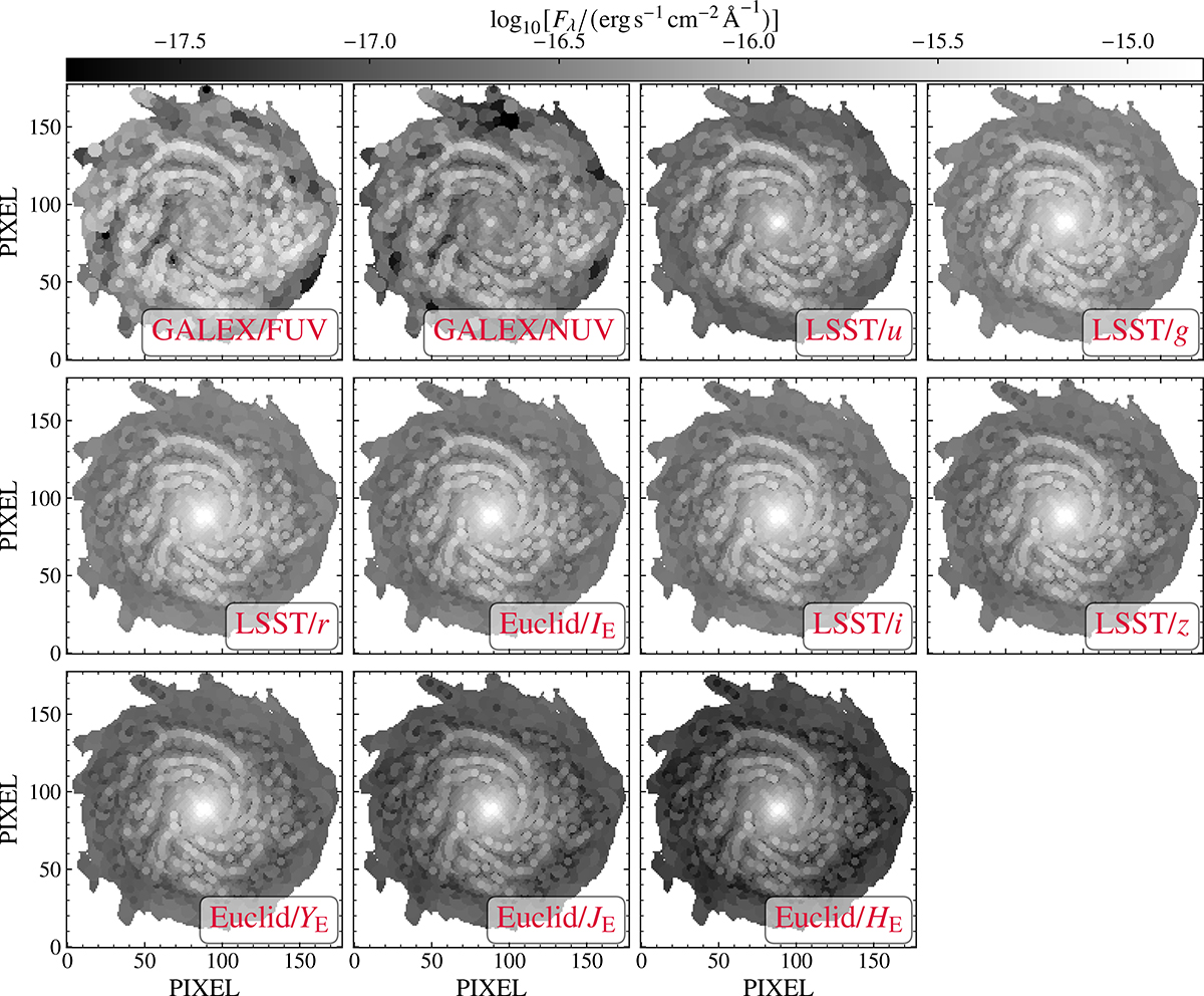 Fig. 2. Refer to the following caption and surrounding text.