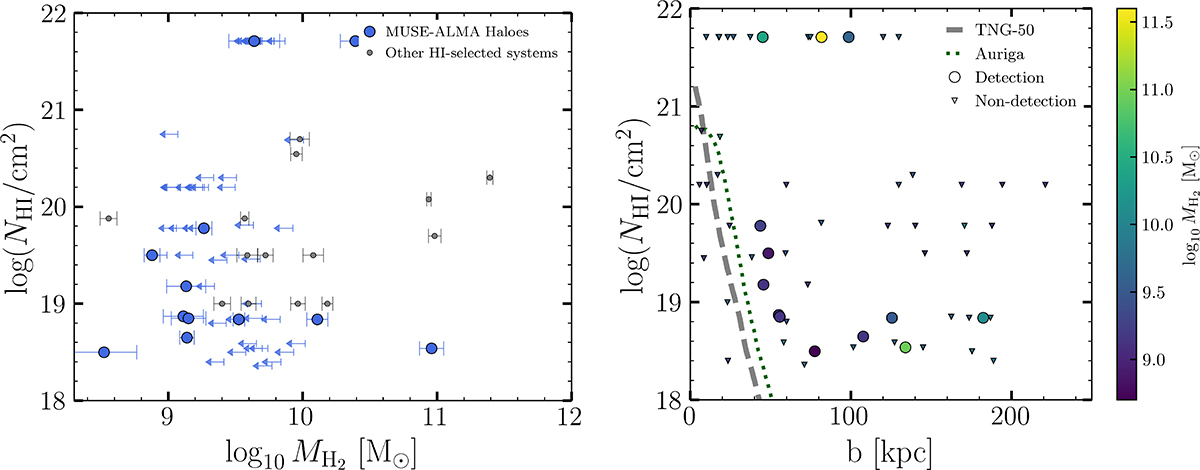 Fig. 4. Refer to the following caption and surrounding text.