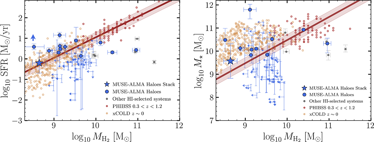 Fig. 5. Refer to the following caption and surrounding text.