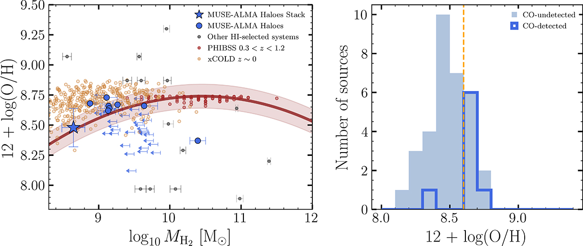 Fig. 6. Refer to the following caption and surrounding text.