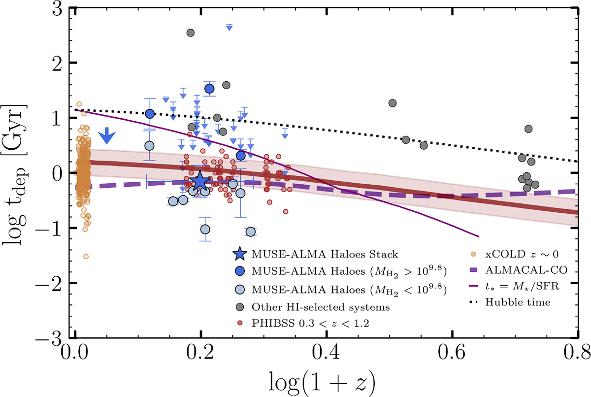 Fig. 7. Refer to the following caption and surrounding text.