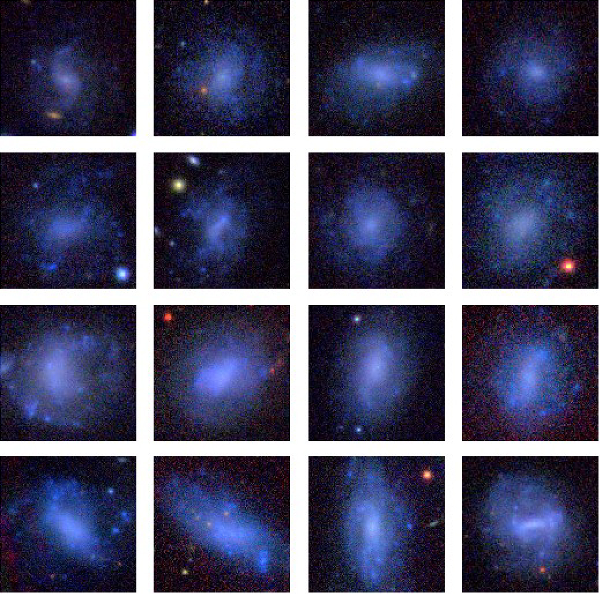 Fig. 13. Refer to the following caption and surrounding text.