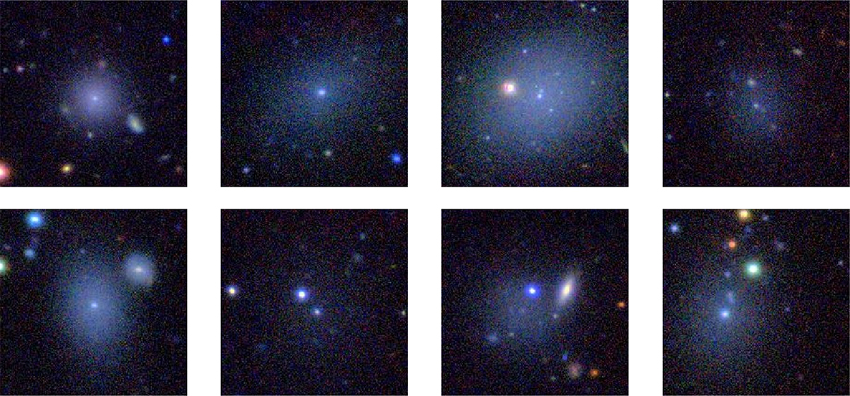 Fig. 2. Refer to the following caption and surrounding text.