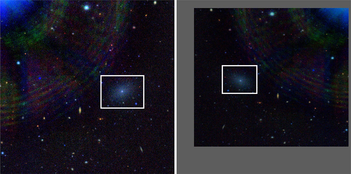 Fig. 5. Refer to the following caption and surrounding text.