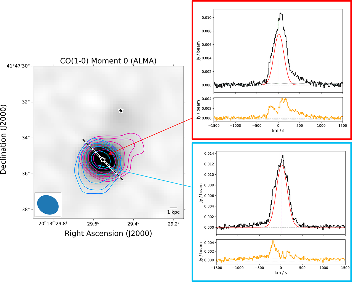 Fig. 3. Refer to the following caption and surrounding text.