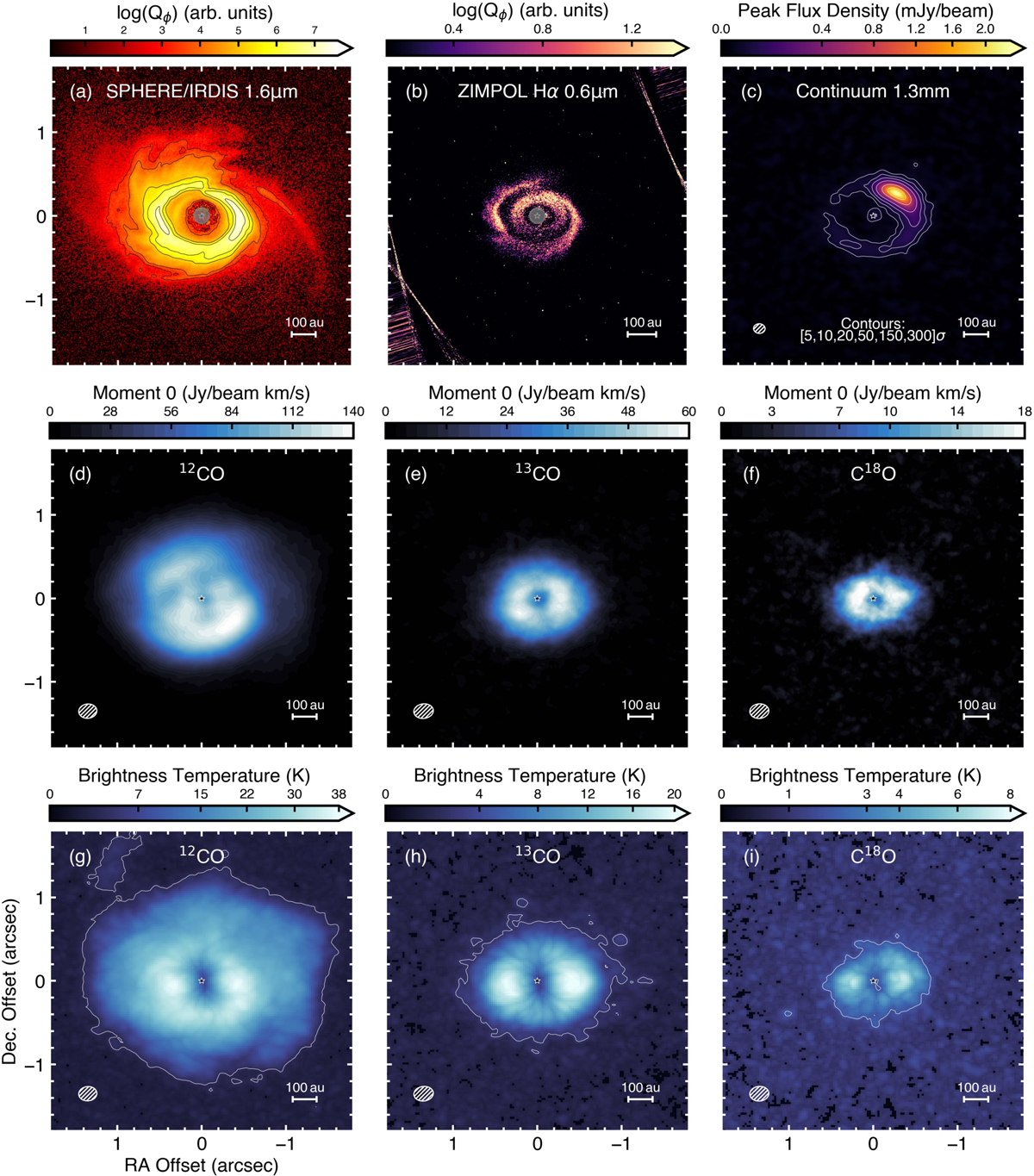 Fig. 1 Refer to the following caption and surrounding text.