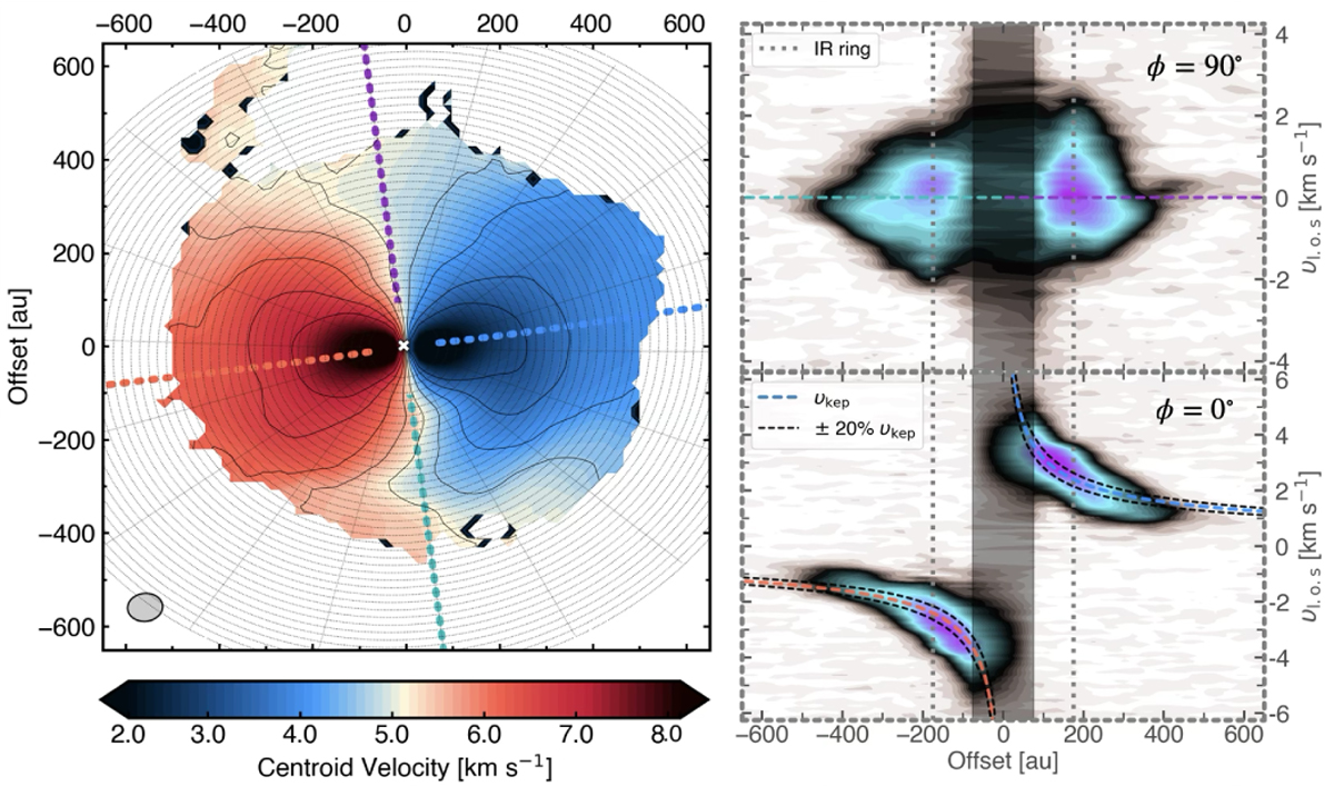 Fig. 5 Refer to the following caption and surrounding text.