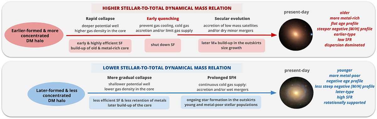 Fig. 7. Refer to the following caption and surrounding text.