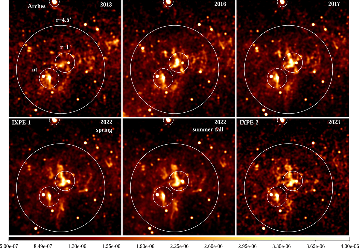 Fig. 2 Refer to the following caption and surrounding text.