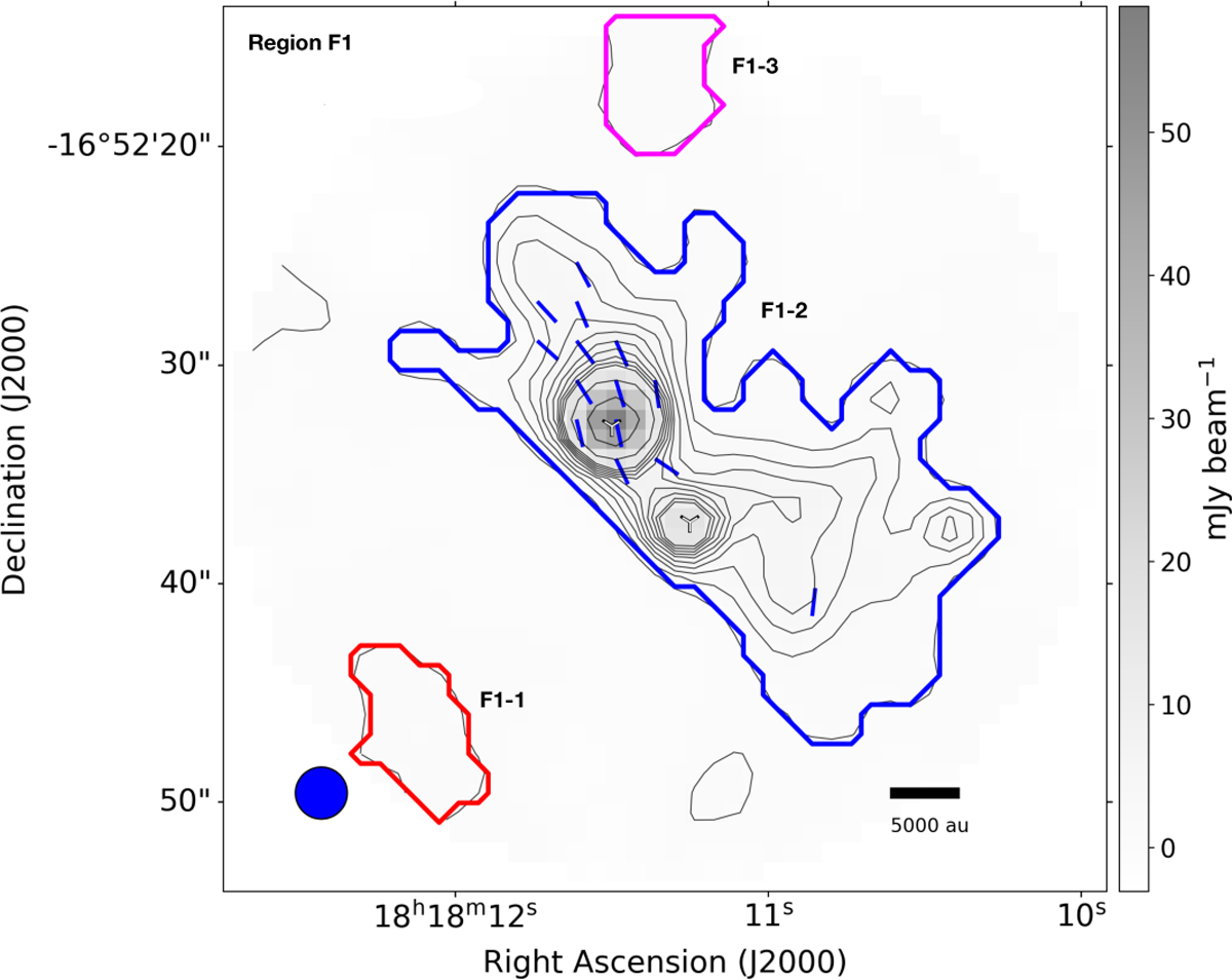 Fig. 3 Refer to the following caption and surrounding text.