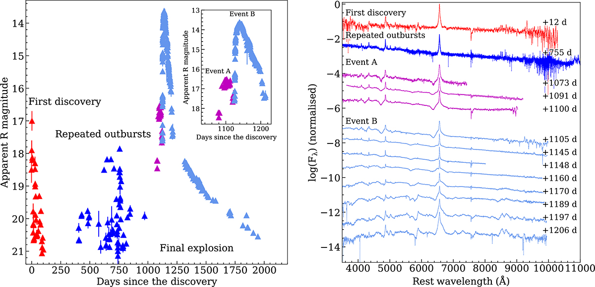 Fig. 1. Refer to the following caption and surrounding text.