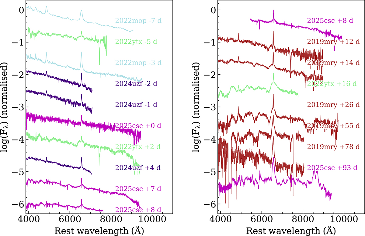 Fig. 12. Refer to the following caption and surrounding text.