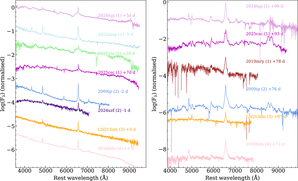 Fig. 15. Refer to the following caption and surrounding text.