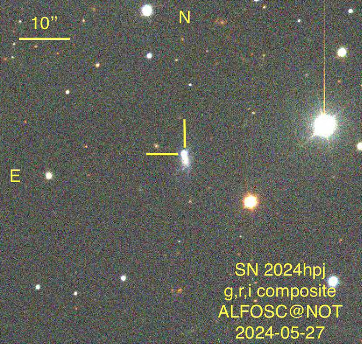 Fig. 2. Refer to the following caption and surrounding text.