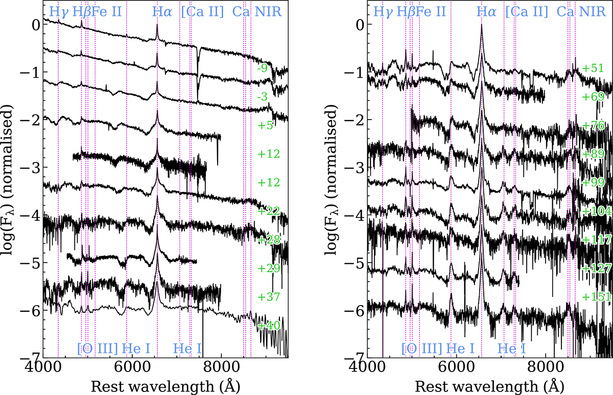 Fig. 4. Refer to the following caption and surrounding text.