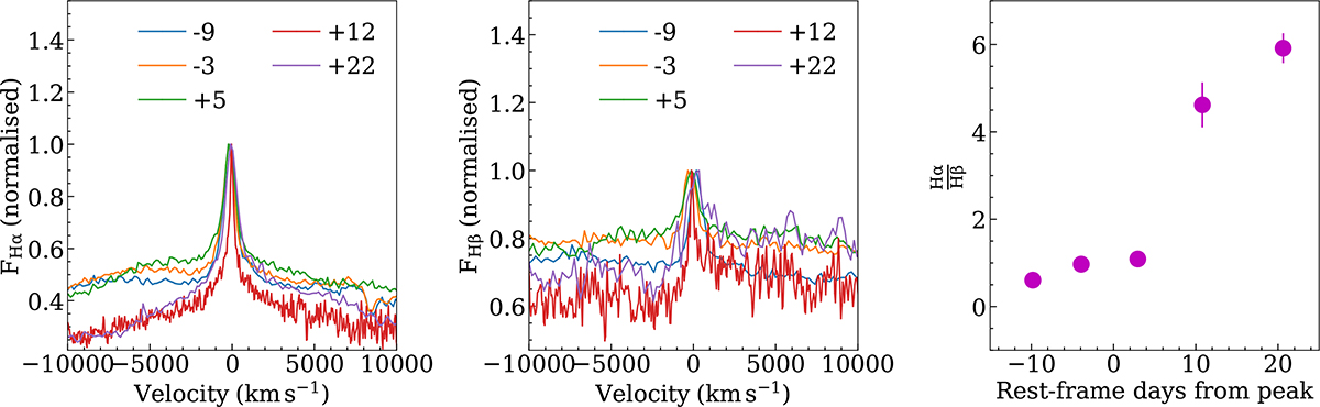 Fig. 8. Refer to the following caption and surrounding text.