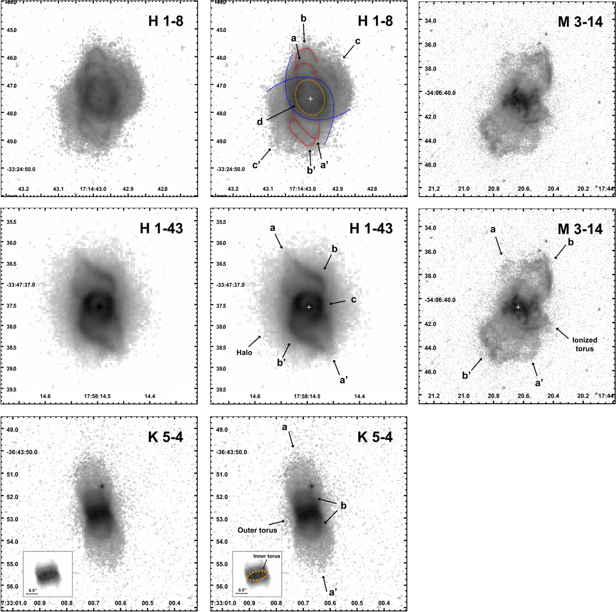 Fig. 1 Refer to the following caption and surrounding text.