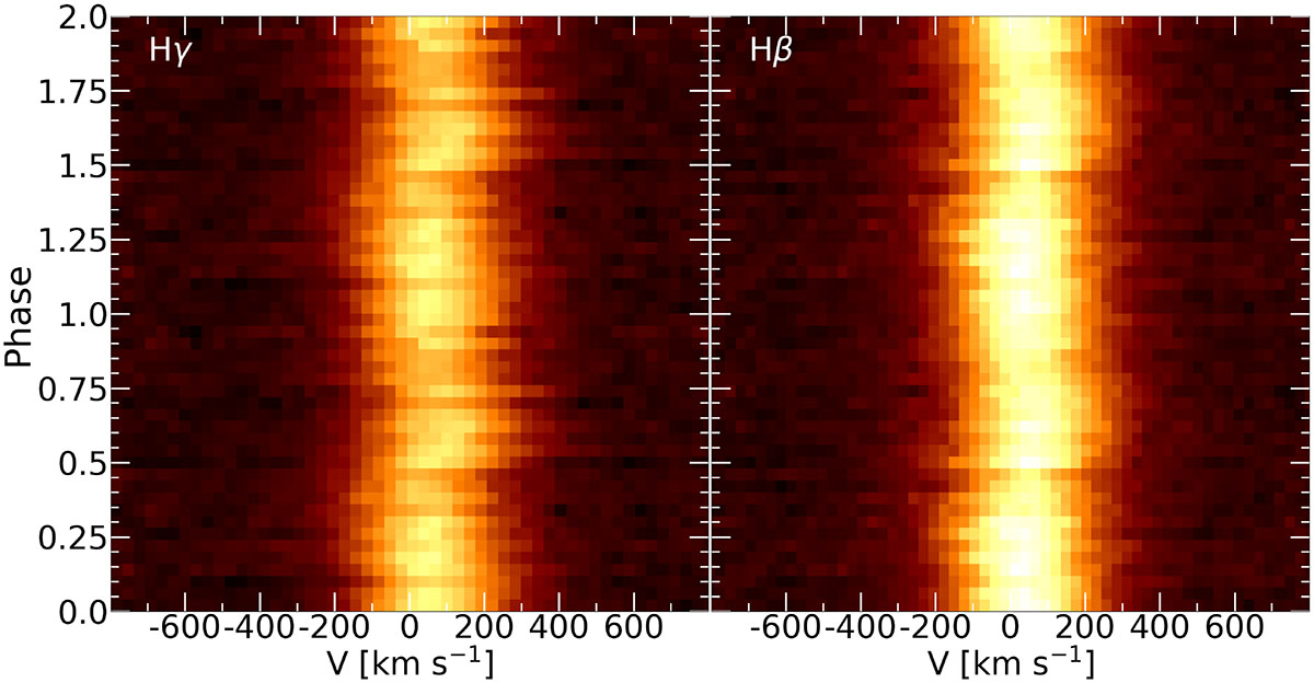 Fig. 7. Refer to the following caption and surrounding text.