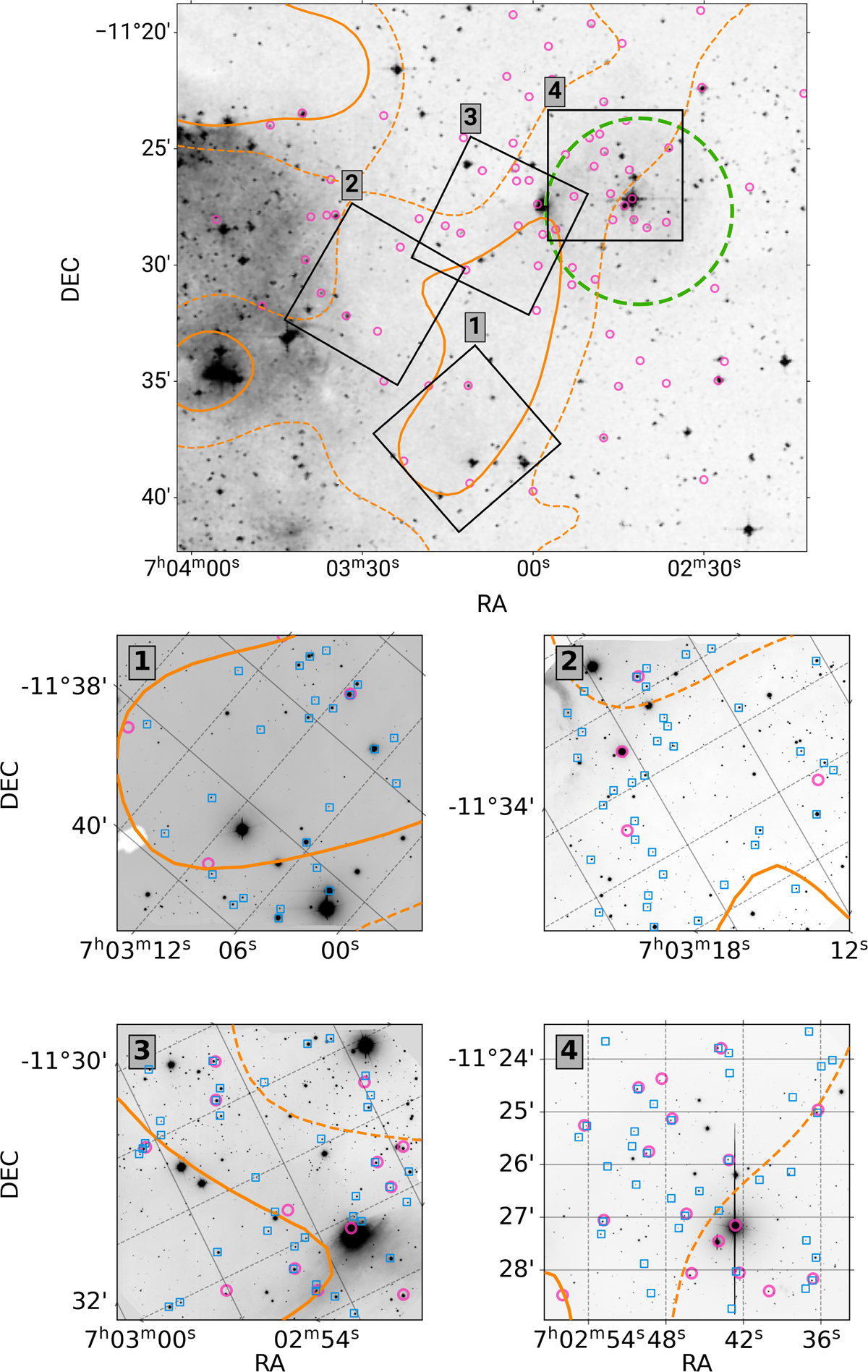 Fig. 1 Refer to the following caption and surrounding text.