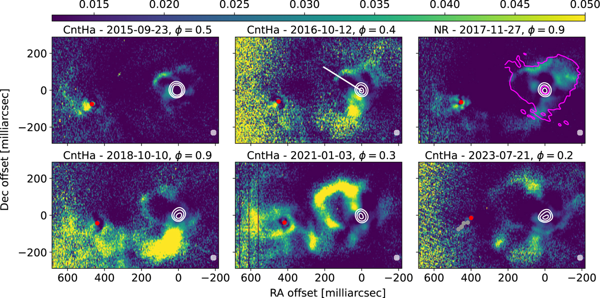 Fig. 1 Refer to the following caption and surrounding text.