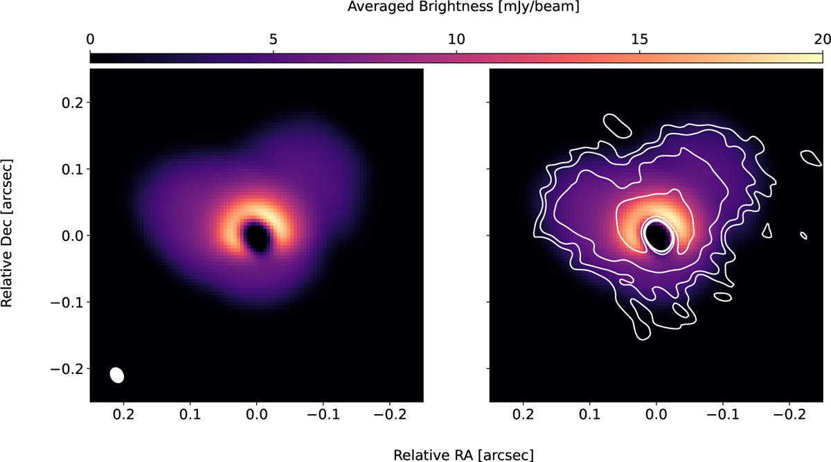 Fig. 7 Refer to the following caption and surrounding text.