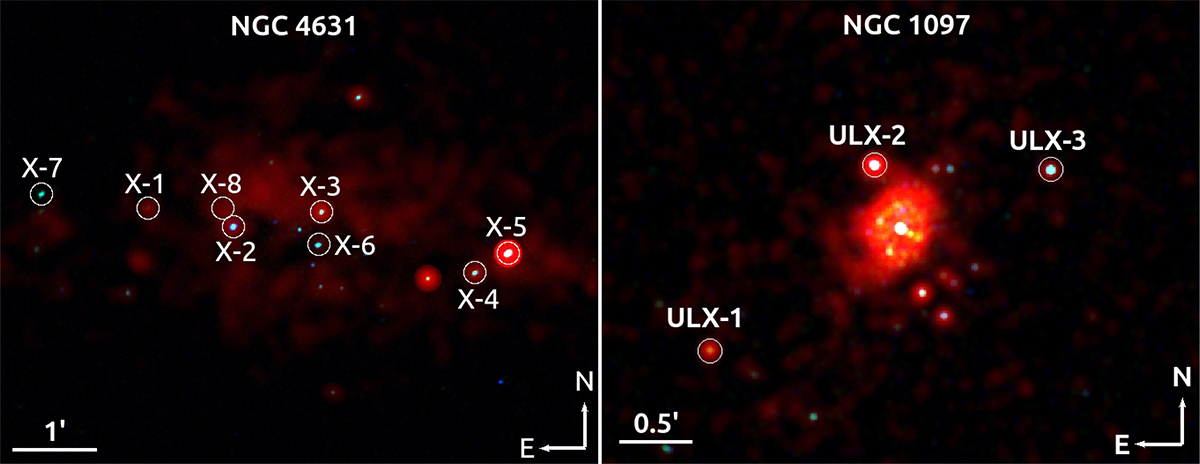 Fig. 1. Refer to the following caption and surrounding text.