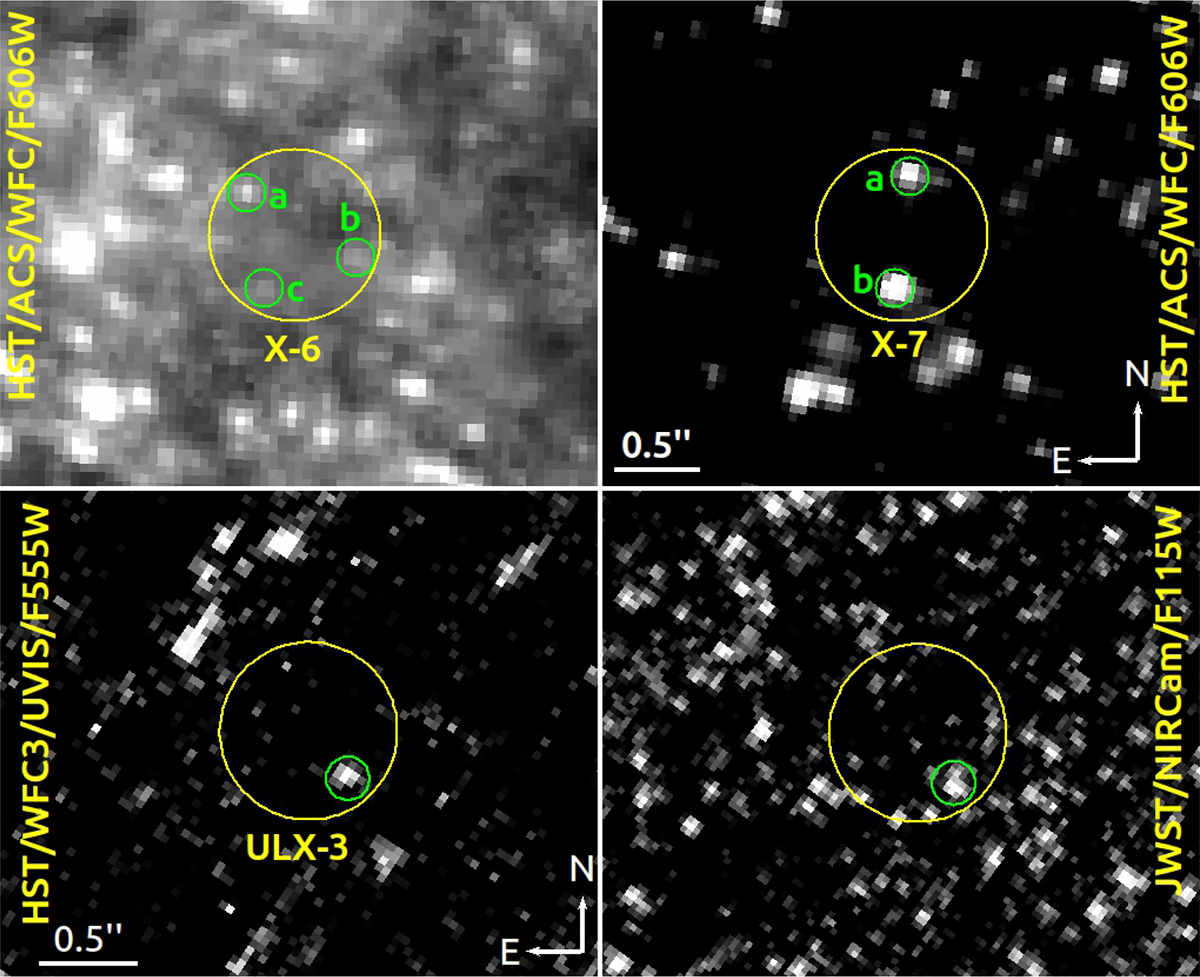 Fig. 8. Refer to the following caption and surrounding text.