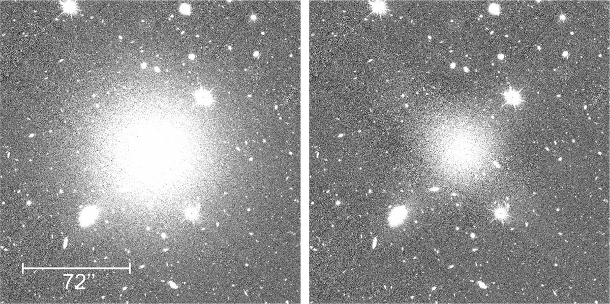 Fig. 12. Refer to the following caption and surrounding text.