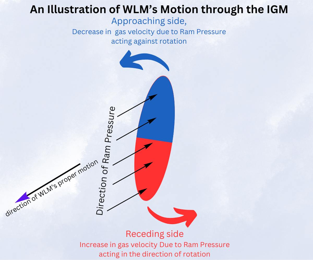 Fig. 6. Refer to the following caption and surrounding text.