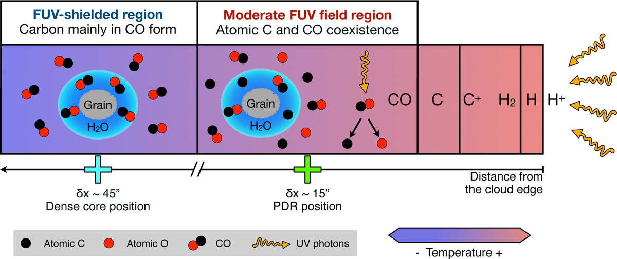 Fig. 6 Refer to the following caption and surrounding text.