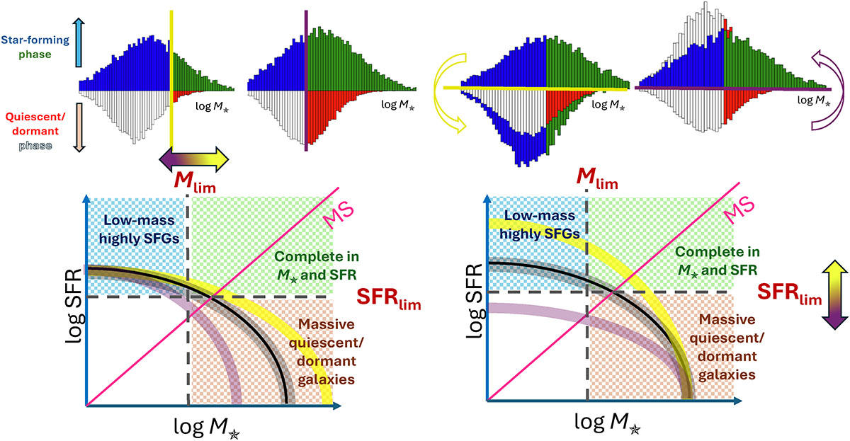 Fig. 5. Refer to the following caption and surrounding text.