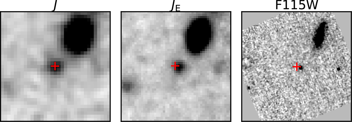 Fig. 11. Refer to the following caption and surrounding text.