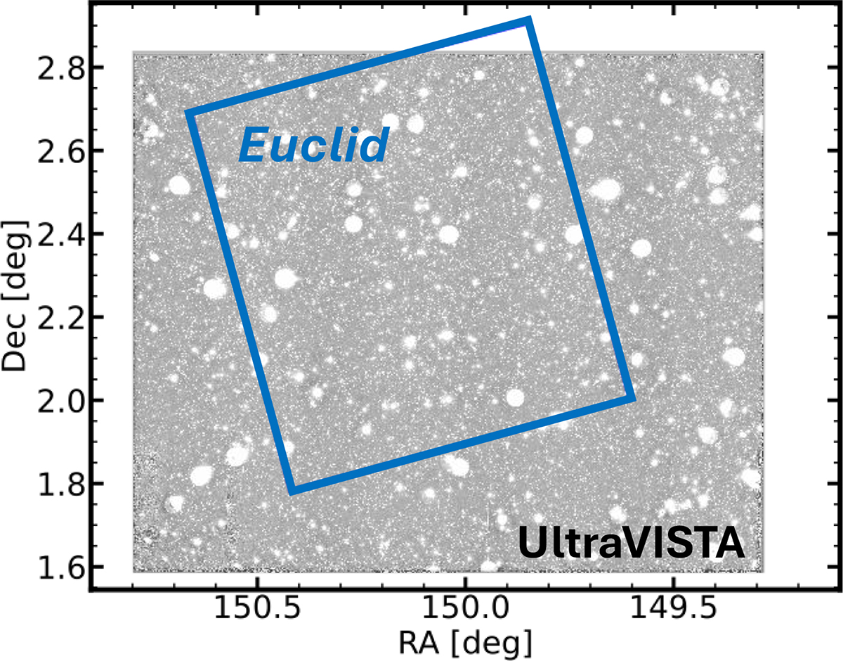 Fig. 2. Refer to the following caption and surrounding text.
