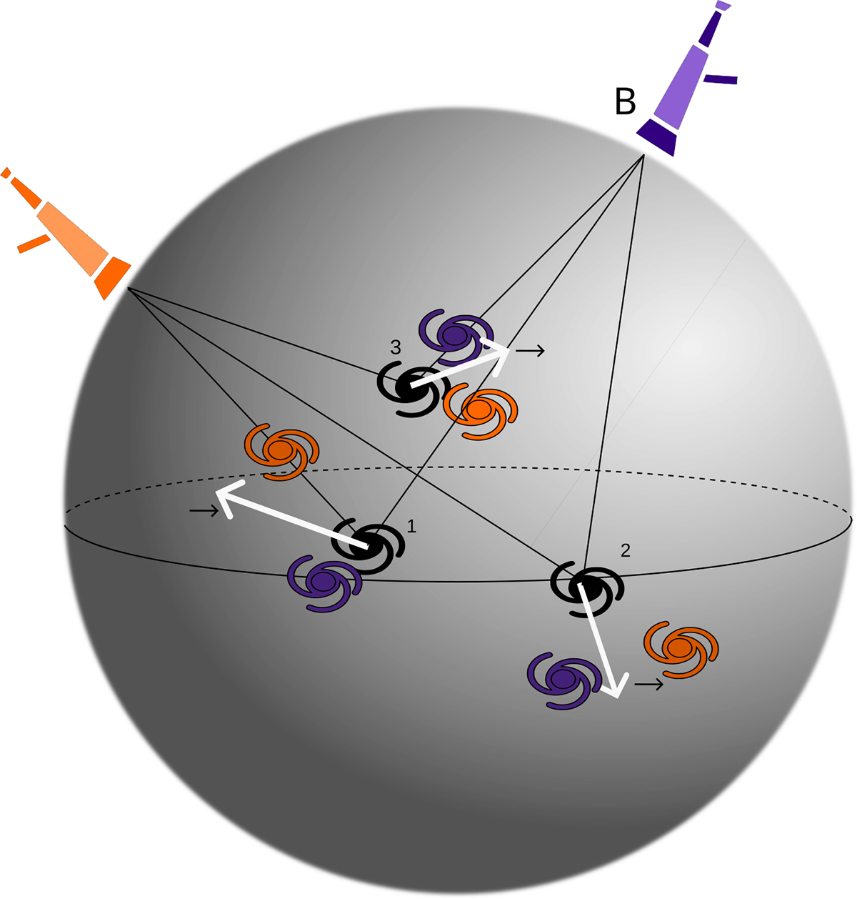 Fig. 1. Refer to the following caption and surrounding text.