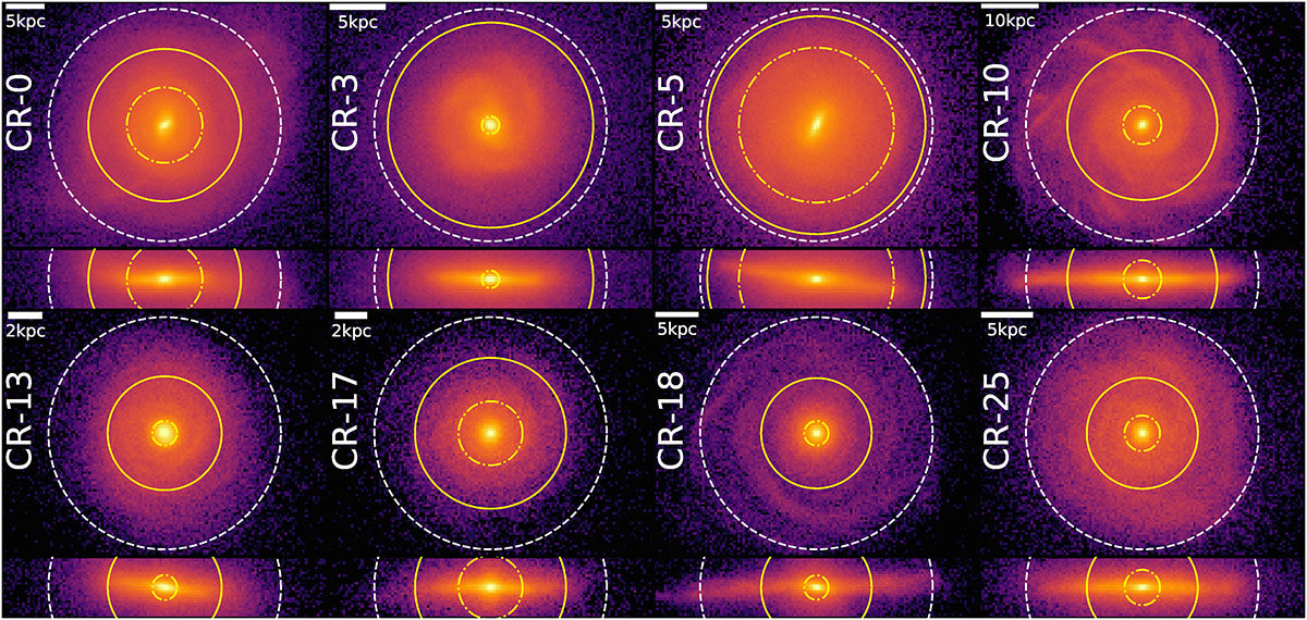 Fig. 4. Refer to the following caption and surrounding text.