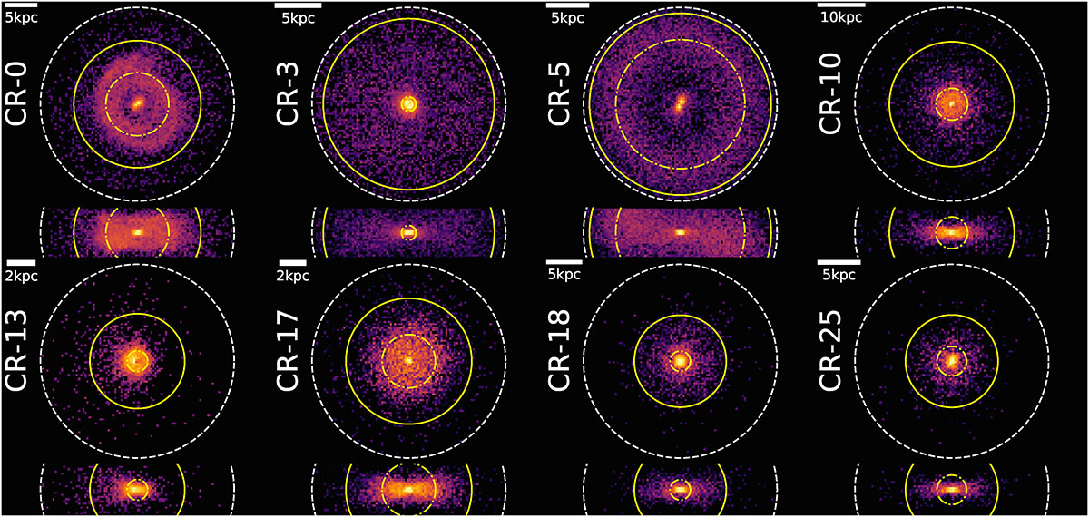 Fig. 5. Refer to the following caption and surrounding text.