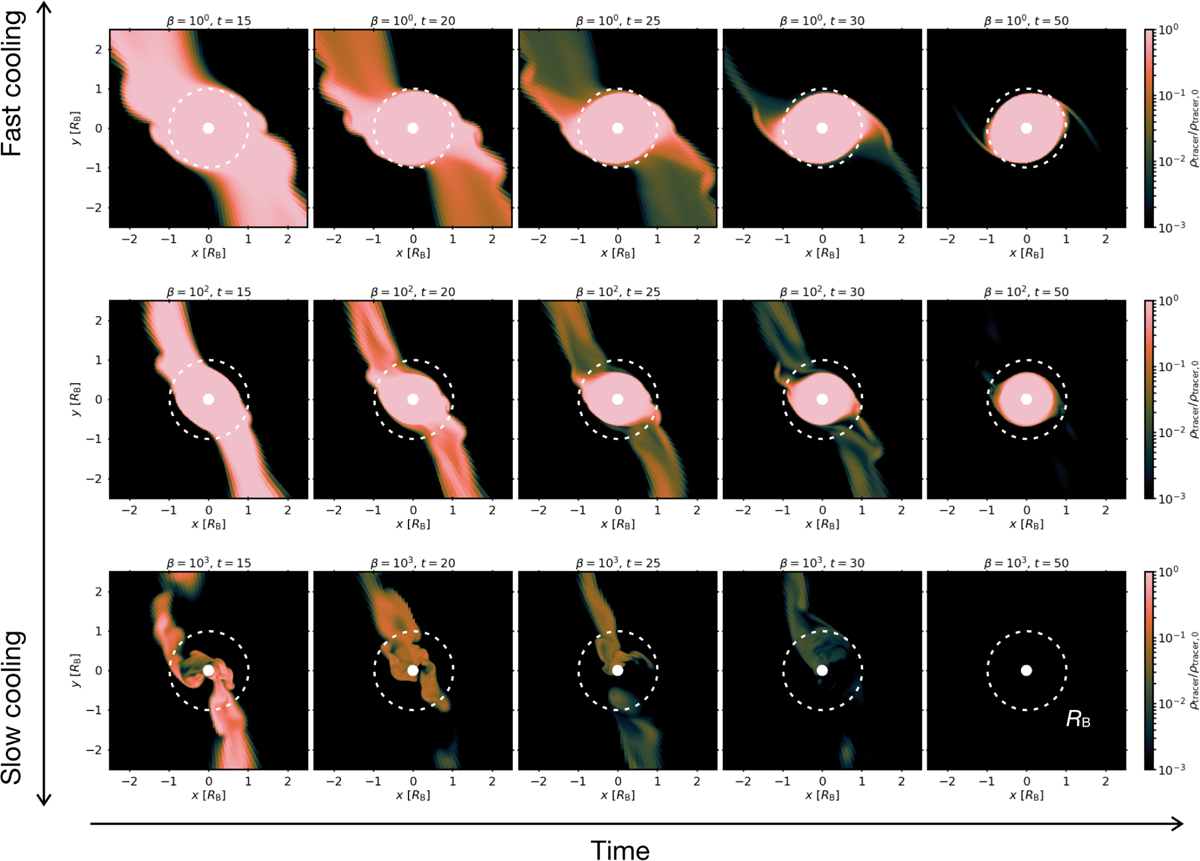 Fig. 10 Refer to the following caption and surrounding text.