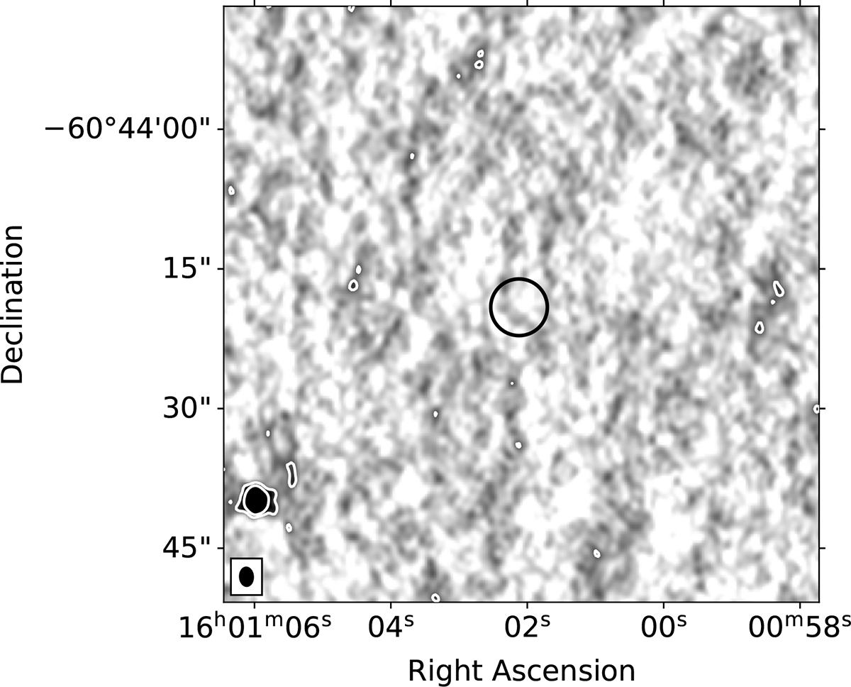 Fig. 4. Refer to the following caption and surrounding text.