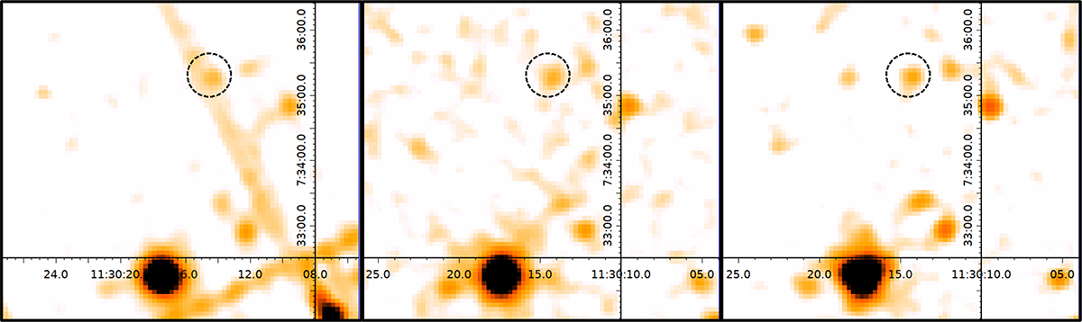 Fig. 2. Refer to the following caption and surrounding text.