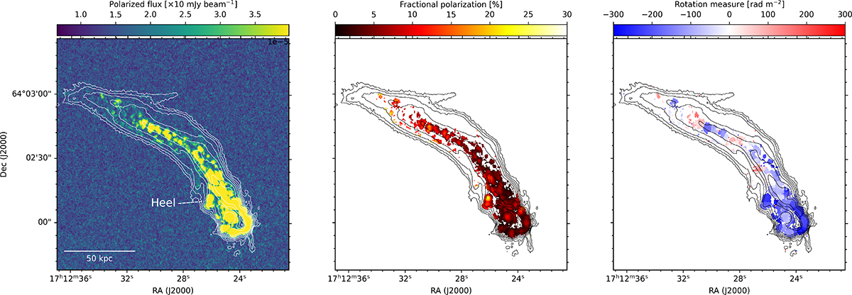 Fig. 3. Refer to the following caption and surrounding text.