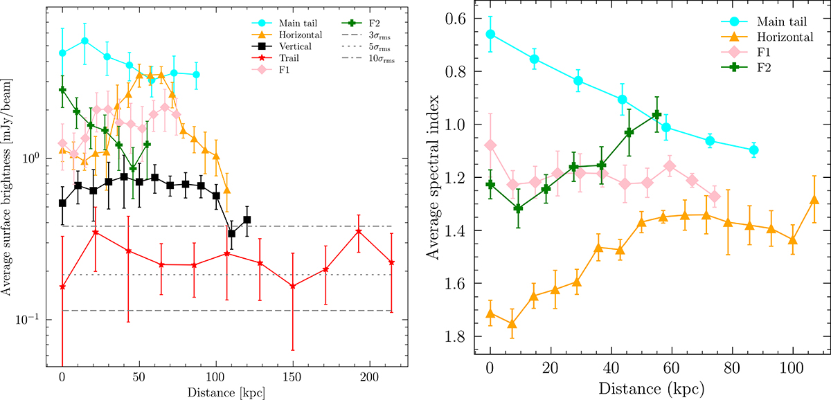Fig. 5. Refer to the following caption and surrounding text.