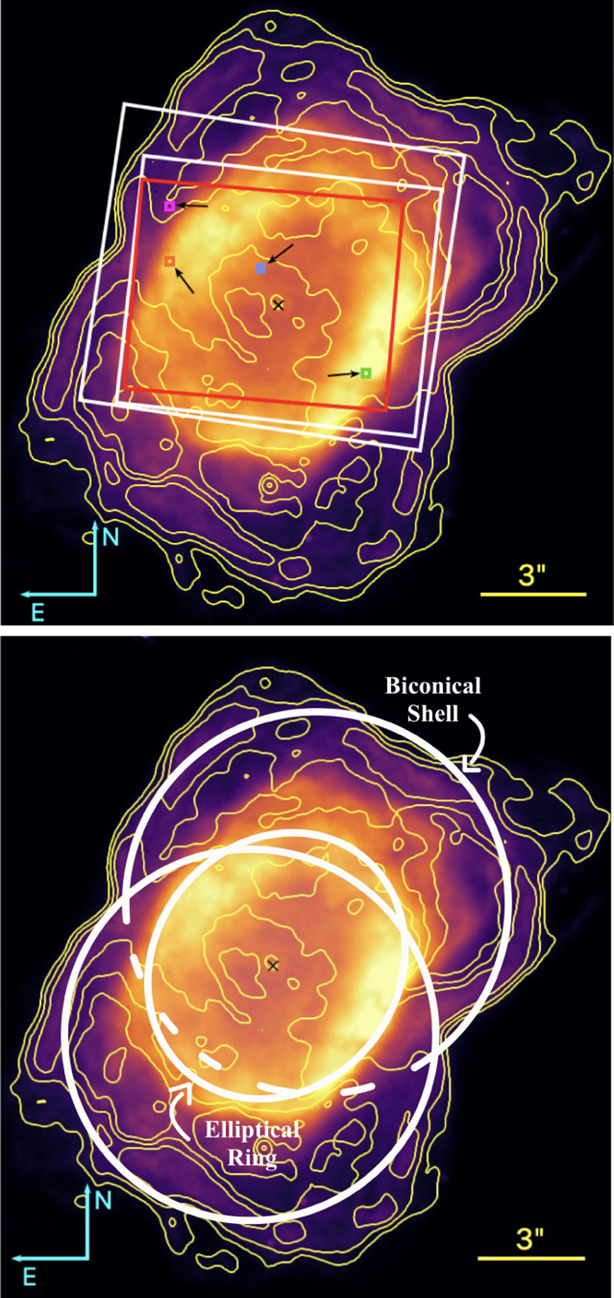 Fig. 3 Refer to the following caption and surrounding text.