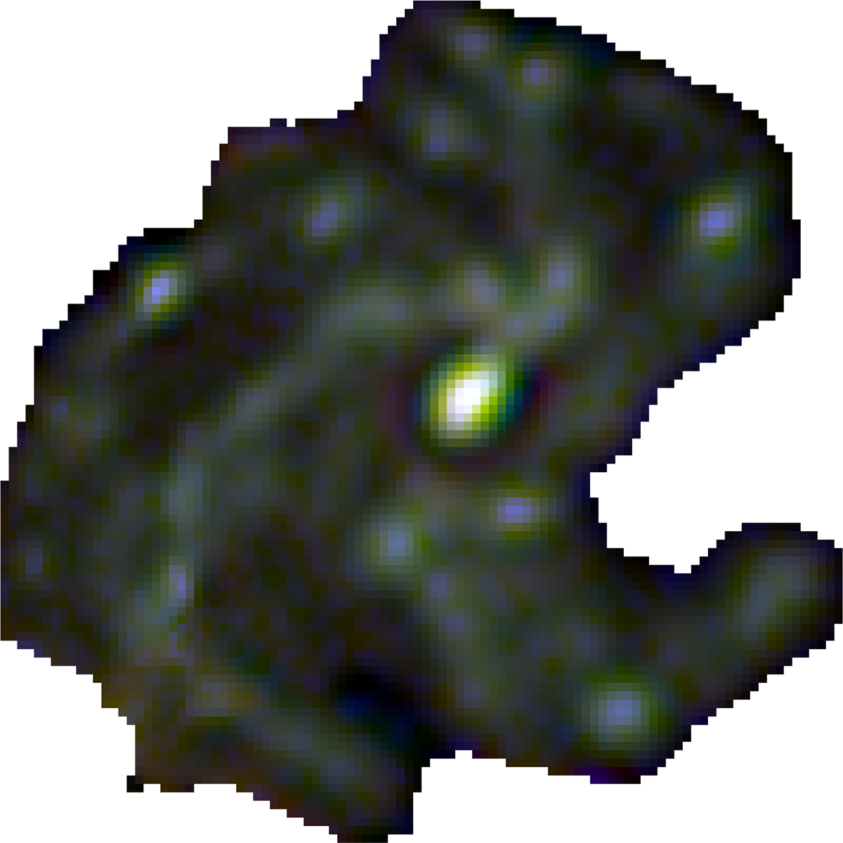 Fig. 7. Refer to the following caption and surrounding text.