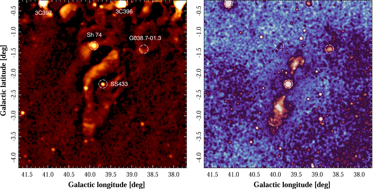 Fig. 1 Refer to the following caption and surrounding text.