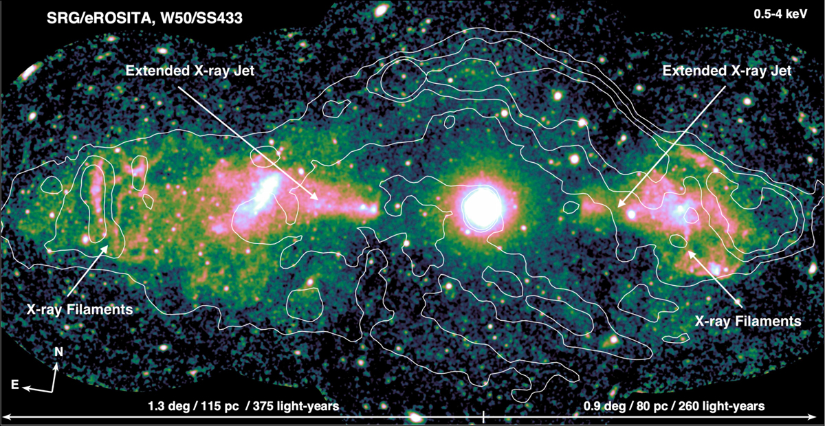 Fig. 2 Refer to the following caption and surrounding text.