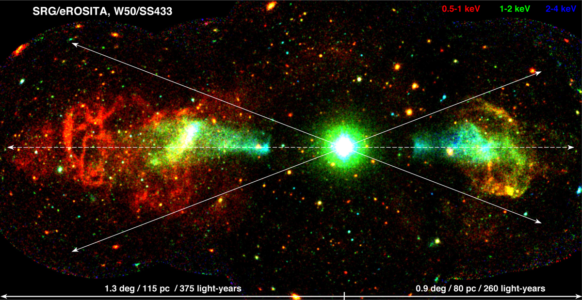 Fig. 3 Refer to the following caption and surrounding text.