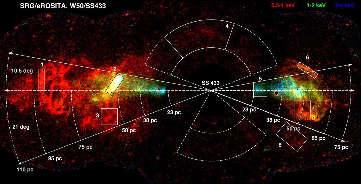 Fig. 5 Refer to the following caption and surrounding text.